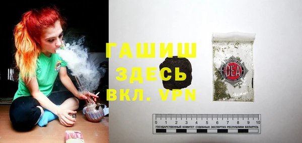 индика Осташков