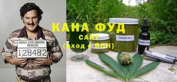 индика Осташков