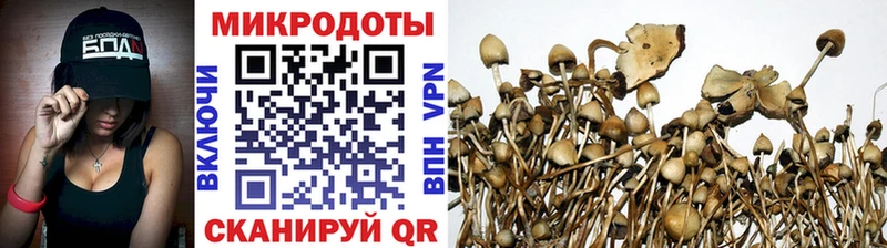 Галлюциногенные грибы GOLDEN TEACHER Лихославль